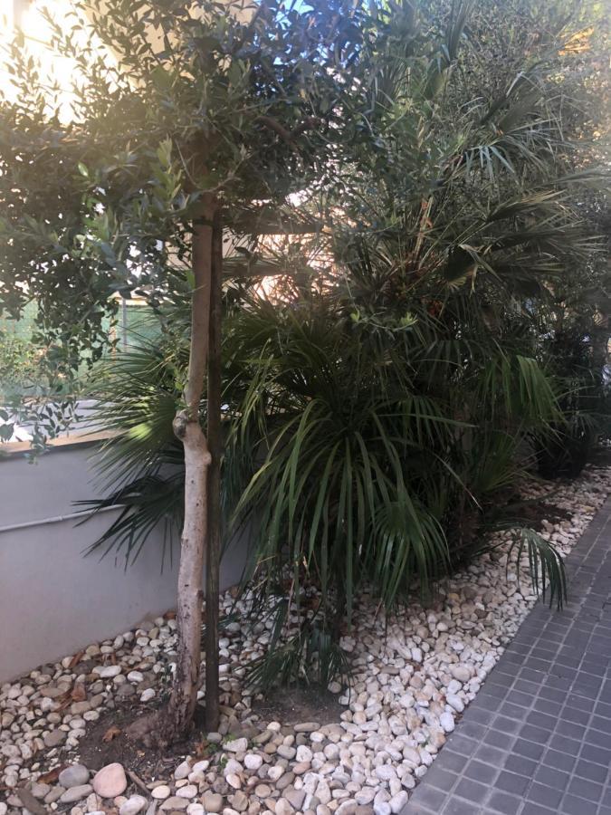 Apartament A Casa Minerva Rimini Zewnętrze zdjęcie