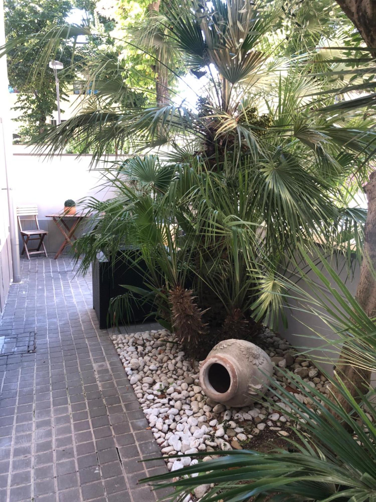 Apartament A Casa Minerva Rimini Zewnętrze zdjęcie